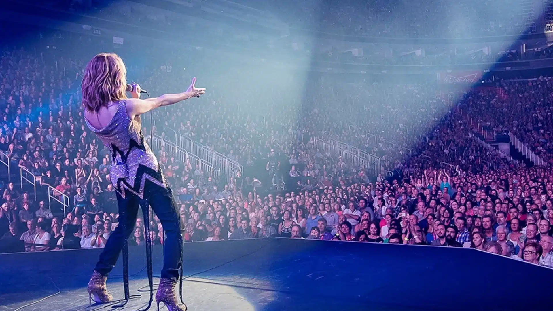 Céline Dion Concert Atmosphere
